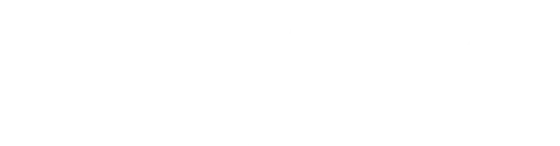 REALIZE Accelerator